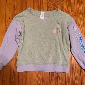Walt Disney World Sweatshirt - Only Worn Once!